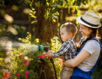 little boy and happy mother gardener watering garden with hose