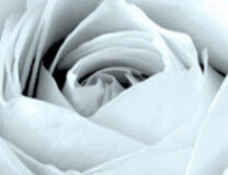 pakete-privat-12-Meine-Bestattungsversicherung